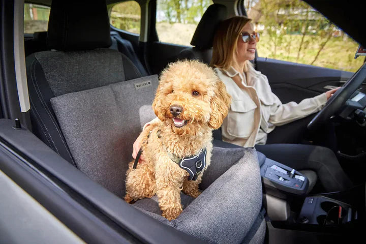 Chien noir et blanc installé confortablement dans un siège auto beige pour chien à l’arrière d’un véhicule