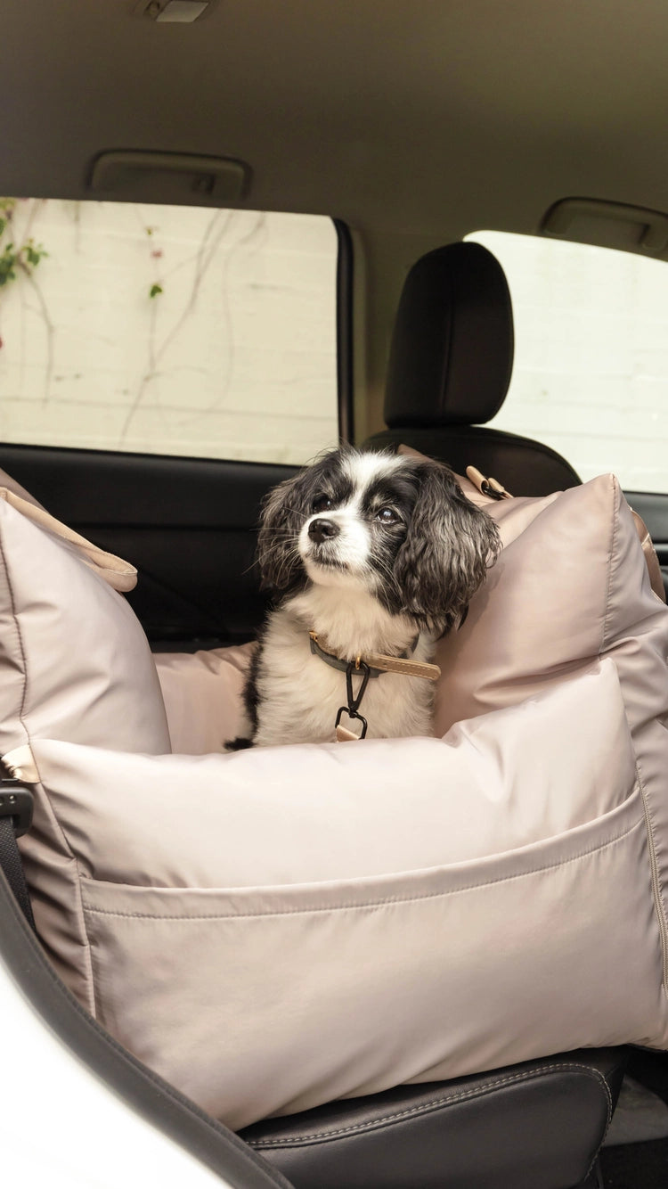 Luxury siège auto chien, ALL BEIGE