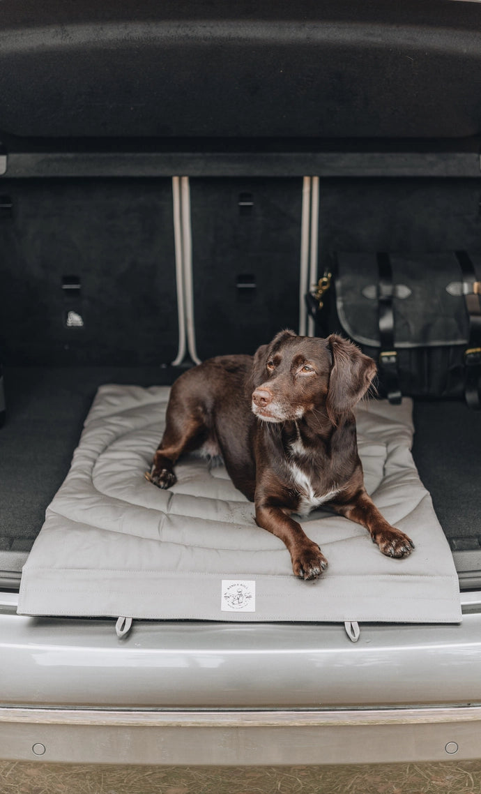 Accessoire de voyage léger et durable pour animaux