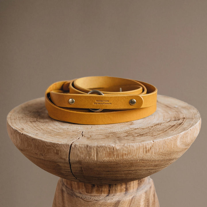 Accessoire pour chien écoresponsable et design