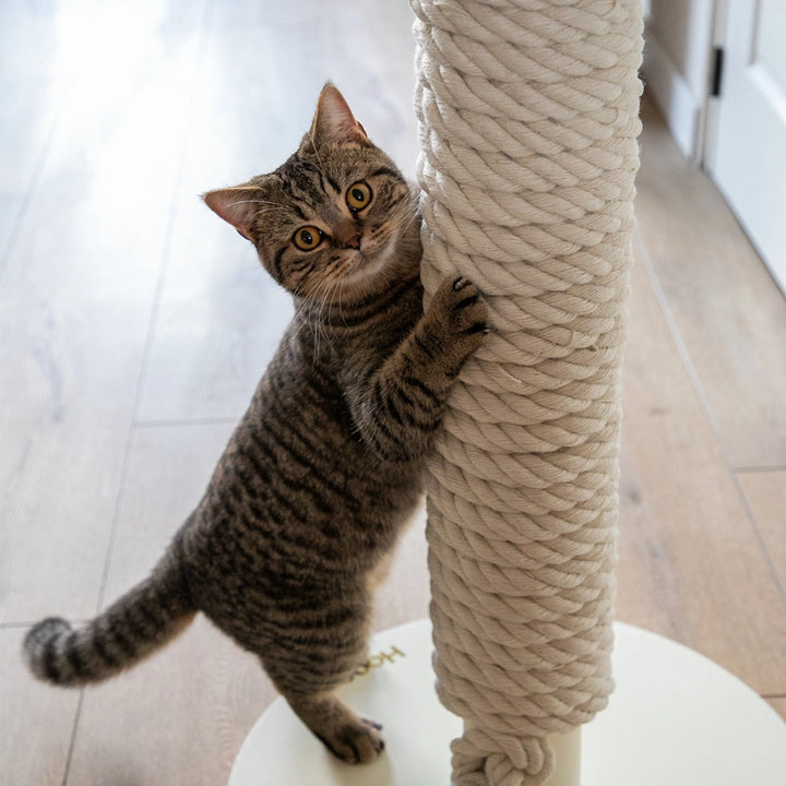 Base stable et robuste du Totem adaptée aux grandes races de chats