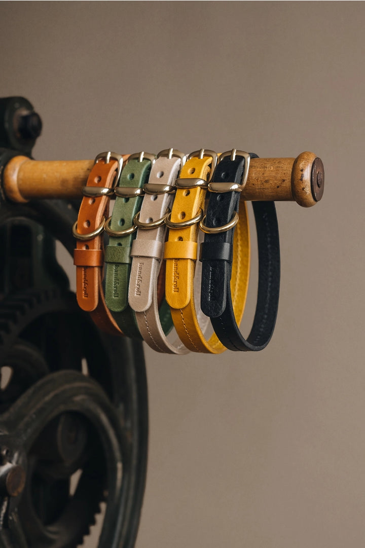 Collier écoresponsable pour chien, design léger et confortable.