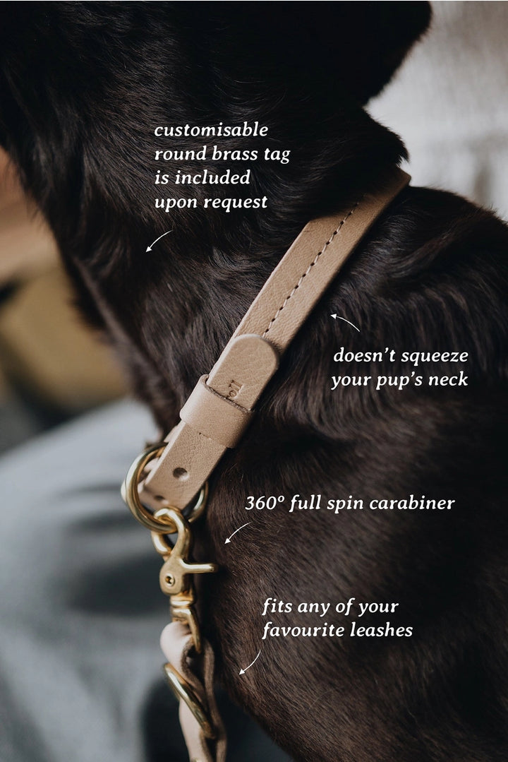 Collier en cuir premium couleur beige pour chiens.