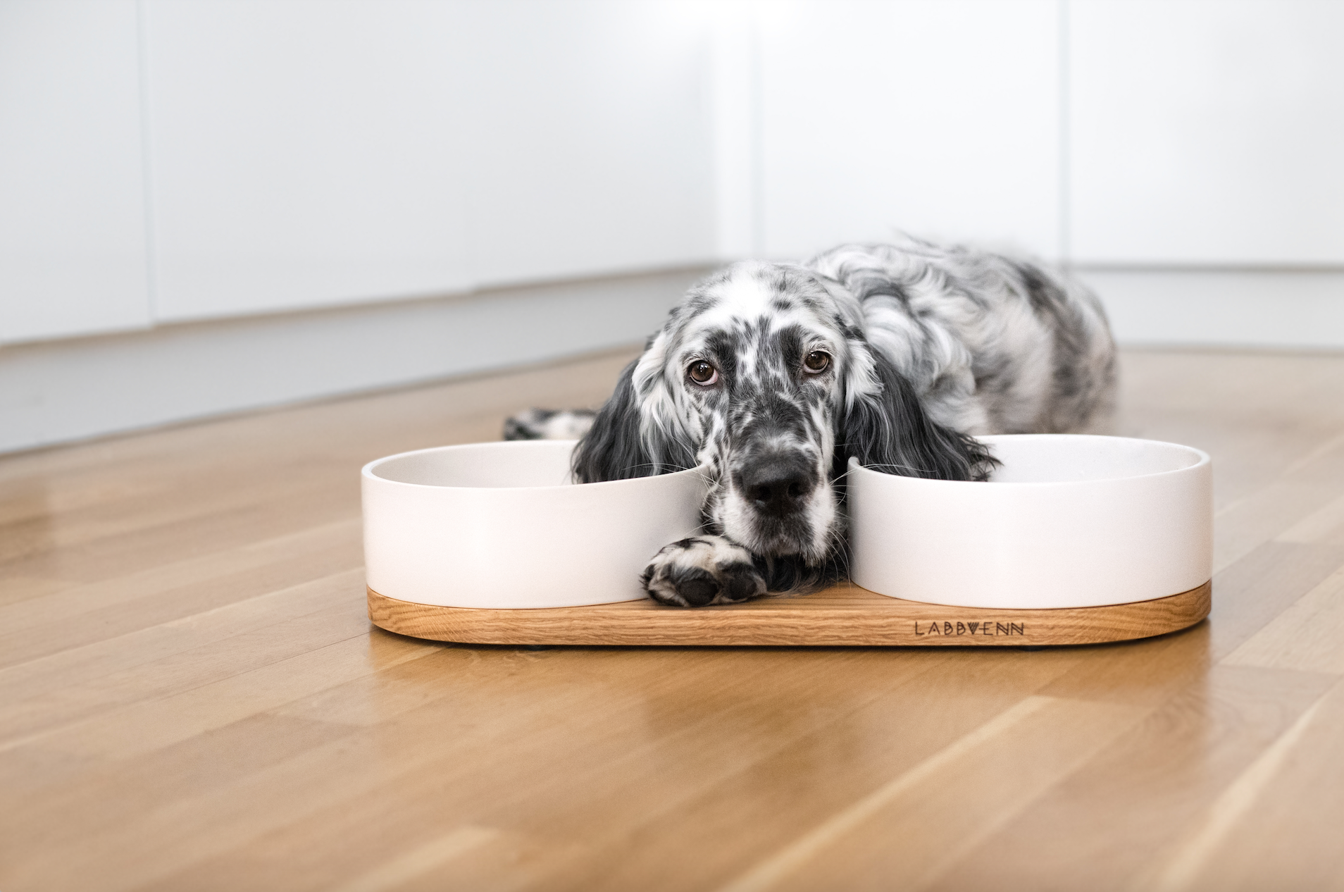 Double gamelle en céramique et bois massif écoresponsable pour chien 