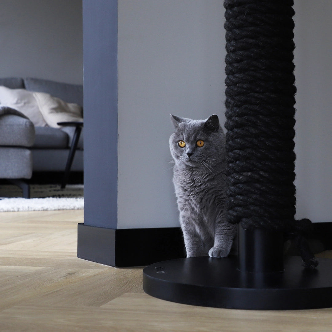 Griffoir écoresponsable Totem en bois naturel pour chats