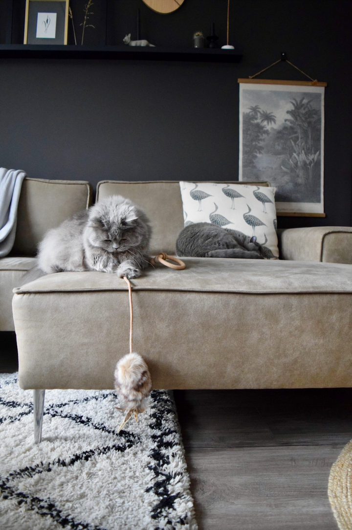 Jouet pour chat fait main en laine naturelle, respectueux de l’environnement