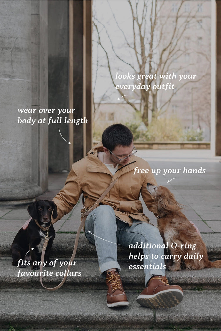 Promenades stylées avec la laisse LASSO pour chien