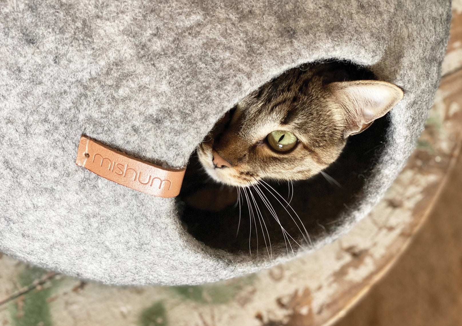 Refuge cosy pour chats en laine naturelle, design élégant.