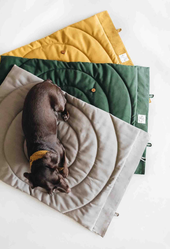 Surface matelassée douce et confortable pour chien