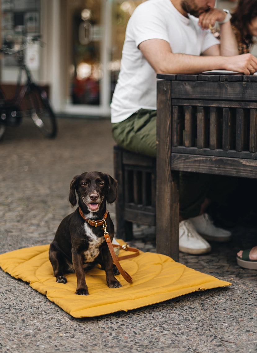 Taille M de la couverture adaptée aux chiens de taille moyenne
