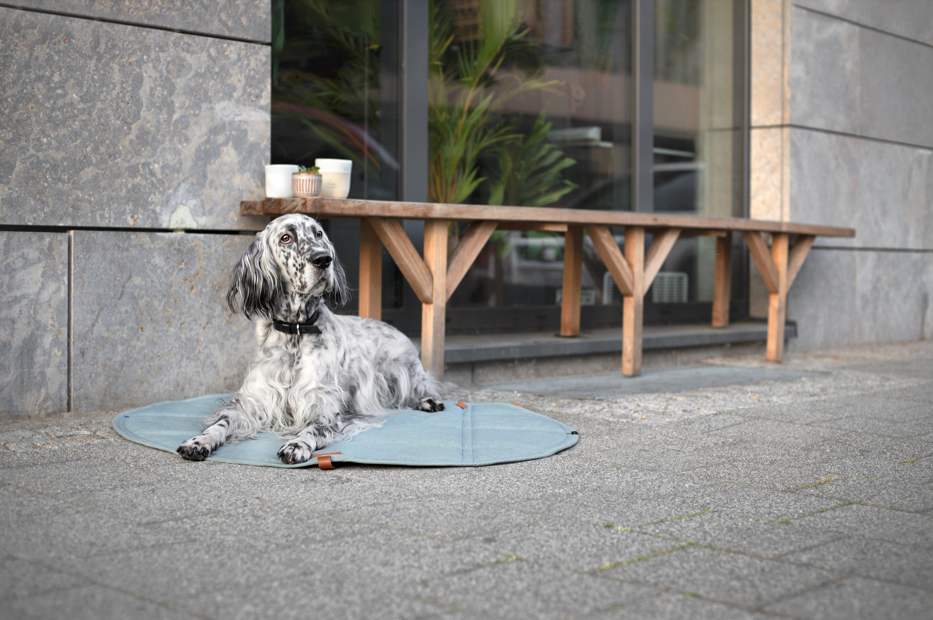 Tapis antidérapant et pliable pour les déplacements en voiture