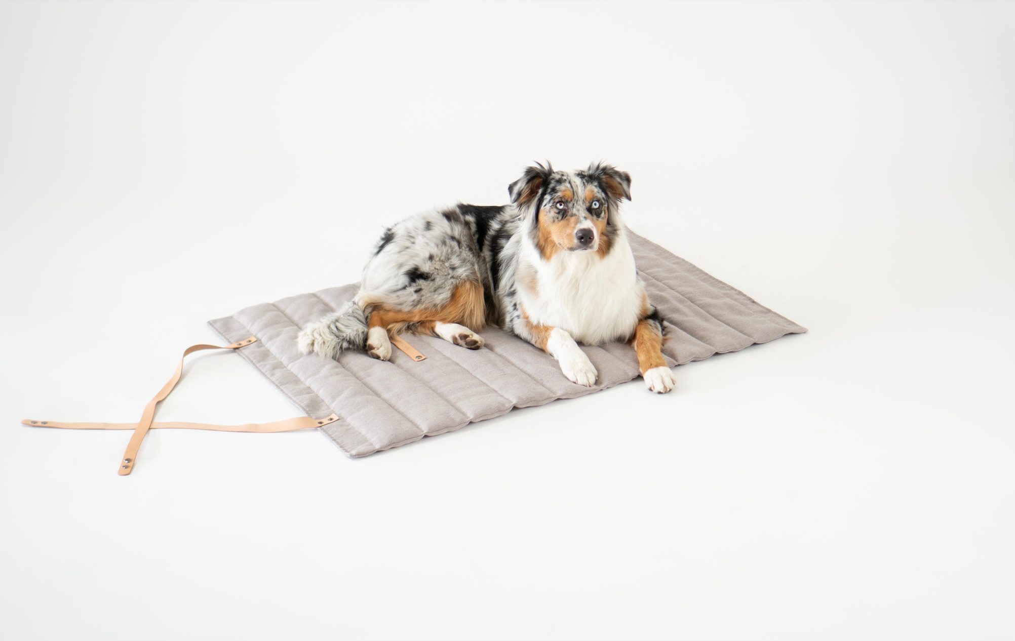 Tapis confortable pour chien avec mousse hypoallergénique