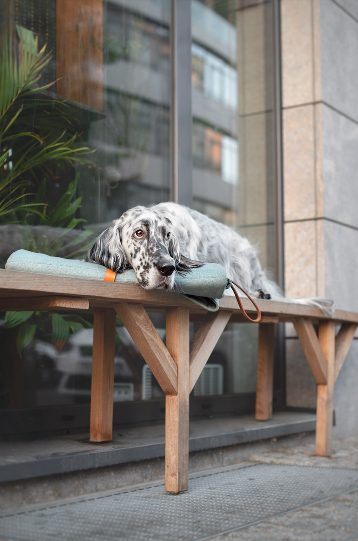 Tapis pour chien fabriqué à partir de bouteilles en plastique recyclées, antidérapant et durable