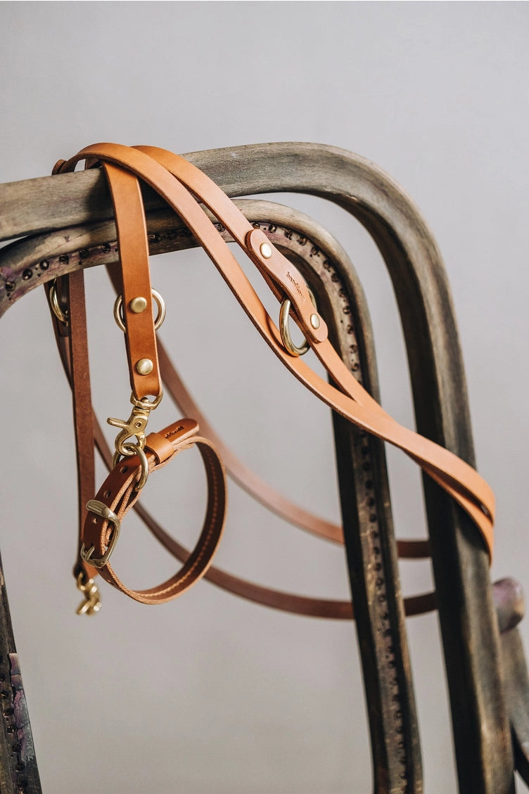 Zoom sur la patine naturelle de la laisse LASSO Air
