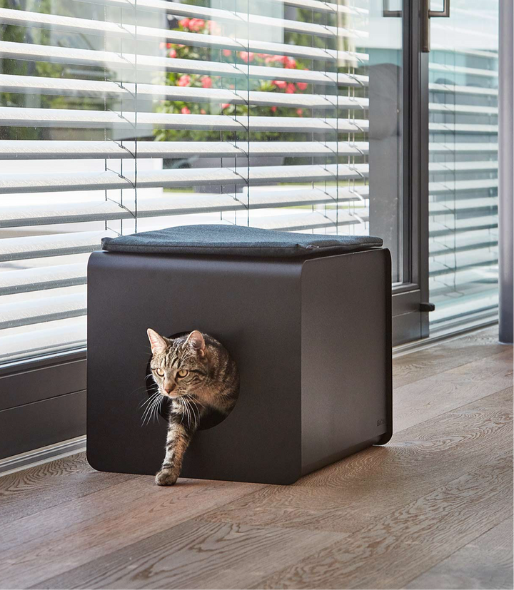 bac à litière moderne et écologique Sito pour chat