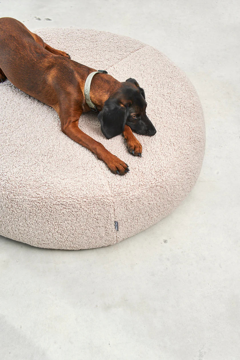 panier Senso confortable et stylé pour chien